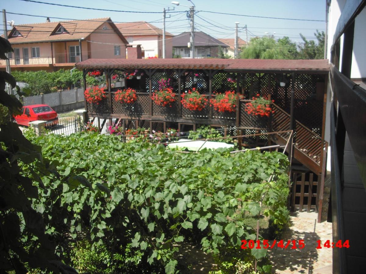 Отель Casa Ciobi Доуэ-Май Экстерьер фото